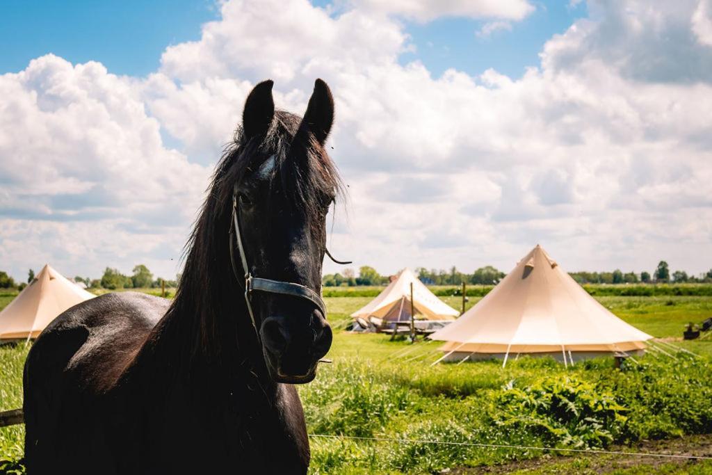 Smuk Lytse Bell Tent Echtenerbrug Exterior photo